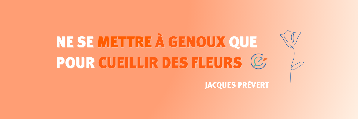 Care bannière