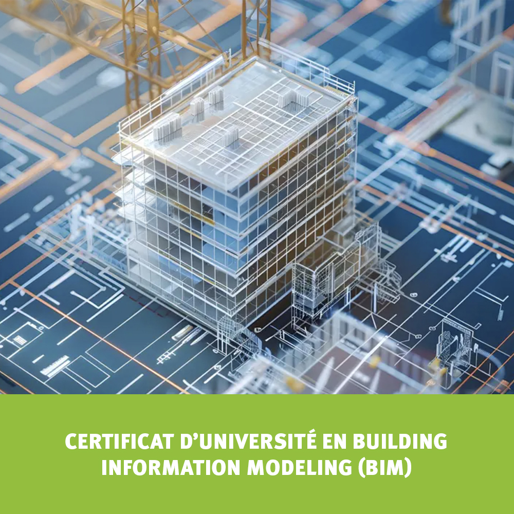 bim