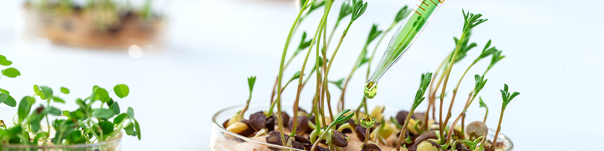Biogreen