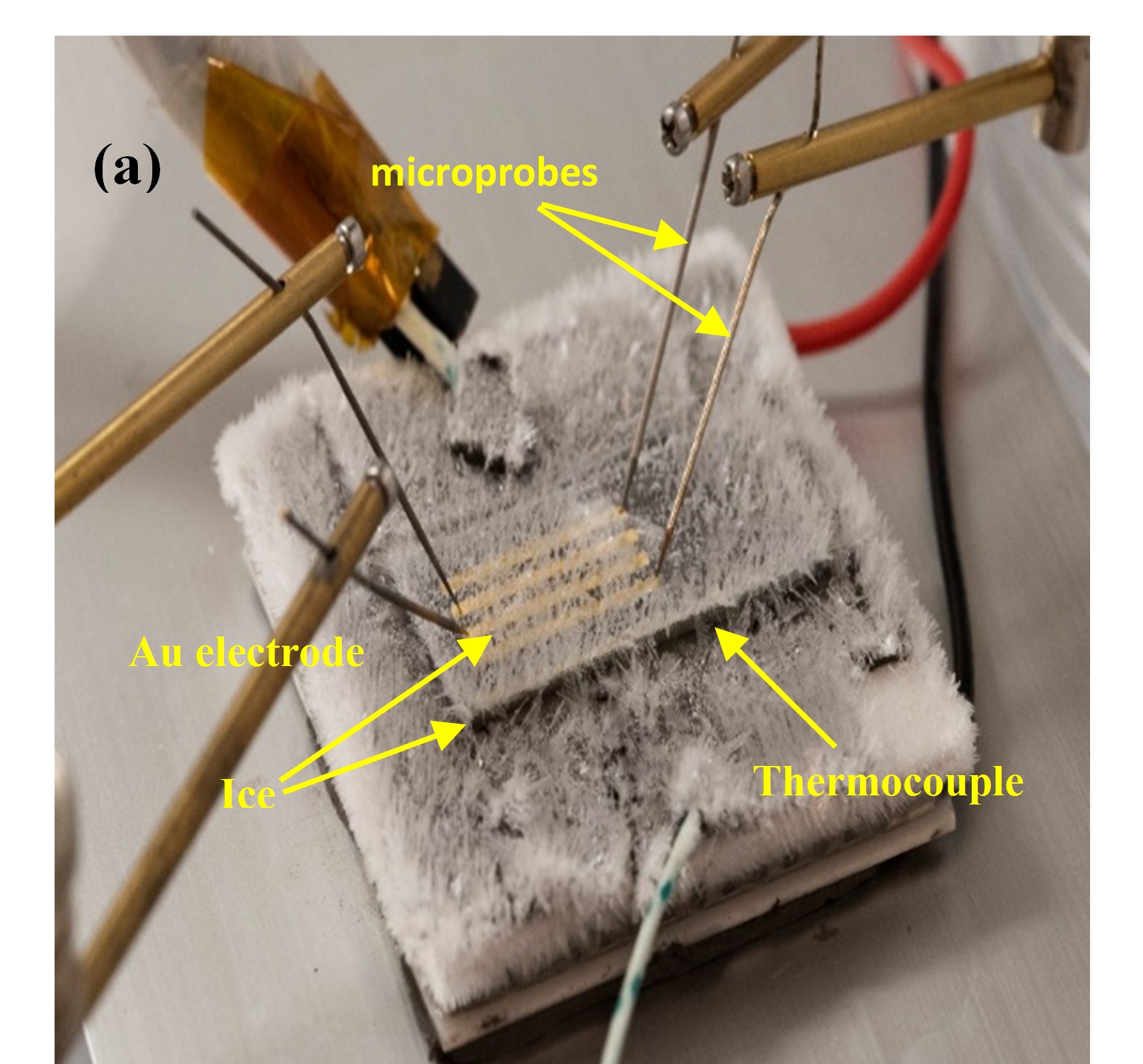 Ice formation on the PEDOT-based film