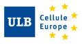 cellule europe